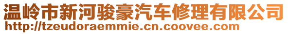 溫嶺市新河駿豪汽車修理有限公司