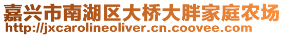 嘉興市南湖區(qū)大橋大胖家庭農(nóng)場