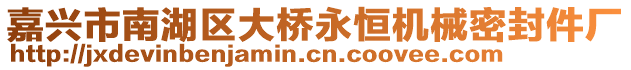 嘉興市南湖區大橋永恒機械密封件廠