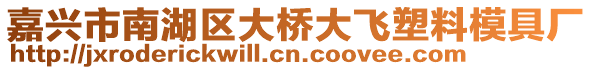 嘉興市南湖區(qū)大橋大飛塑料模具廠