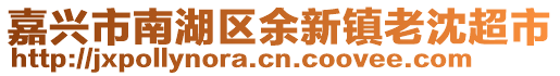 嘉興市南湖區(qū)余新鎮(zhèn)老沈超市