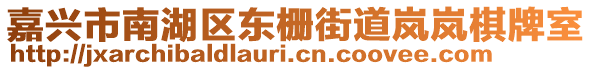 嘉興市南湖區(qū)東柵街道嵐嵐棋牌室