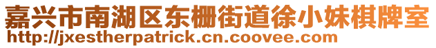 嘉興市南湖區(qū)東柵街道徐小妹棋牌室