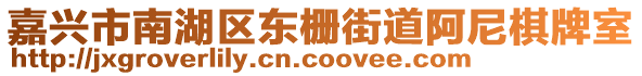 嘉興市南湖區(qū)東柵街道阿尼棋牌室