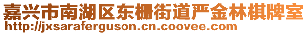 嘉興市南湖區東柵街道嚴金林棋牌室