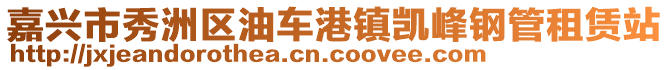 嘉興市秀洲區(qū)油車港鎮(zhèn)凱峰鋼管租賃站