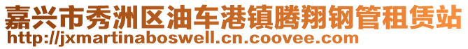 嘉興市秀洲區(qū)油車港鎮(zhèn)騰翔鋼管租賃站