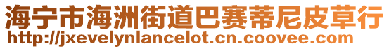 海寧市海洲街道巴賽蒂尼皮草行