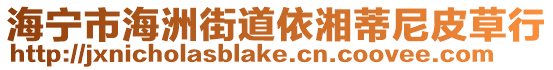 海寧市海洲街道依湘蒂尼皮草行