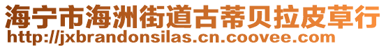 海寧市海洲街道古蒂貝拉皮草行