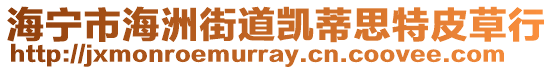 海寧市海洲街道凱蒂思特皮草行