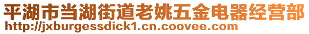 平湖市當(dāng)湖街道老姚五金電器經(jīng)營部