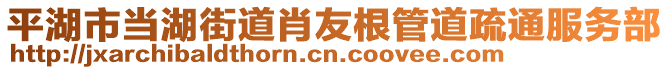 平湖市當湖街道肖友根管道疏通服務部