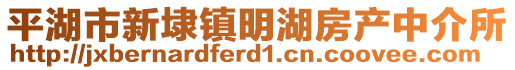 平湖市新埭鎮(zhèn)明湖房產中介所