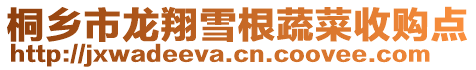 桐鄉(xiāng)市龍翔雪根蔬菜收購點(diǎn)
