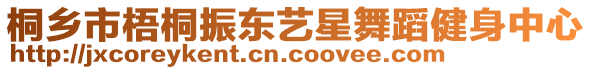 桐鄉(xiāng)市梧桐振東藝星舞蹈健身中心