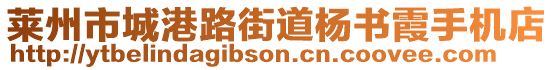 萊州市城港路街道楊書霞手機店