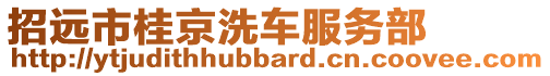 招遠(yuǎn)市桂京洗車服務(wù)部