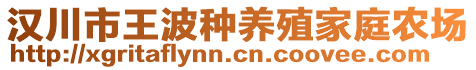 漢川市王波種養(yǎng)殖家庭農場