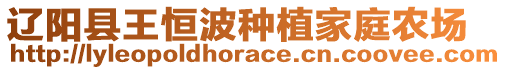 遼陽(yáng)縣王恒波種植家庭農(nóng)場(chǎng)