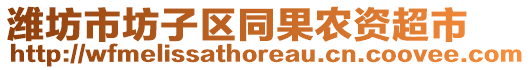 濰坊市坊子區(qū)同果農(nóng)資超市