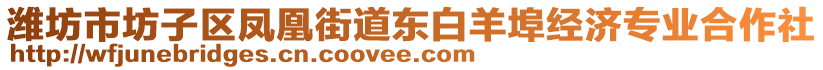 濰坊市坊子區(qū)鳳凰街道東白羊埠經(jīng)濟(jì)專業(yè)合作社