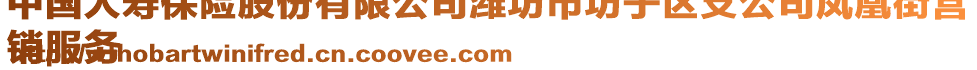 中國人壽保險(xiǎn)股份有限公司濰坊市坊子區(qū)支公司鳳凰街營
銷服務(wù)