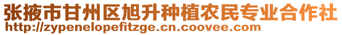 張掖市甘州區(qū)旭升種植農(nóng)民專業(yè)合作社