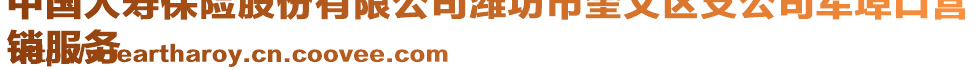 中國人壽保險股份有限公司濰坊市奎文區支公司軍埠口營
銷服務