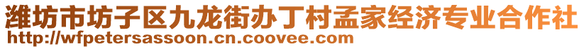 濰坊市坊子區九龍街辦丁村孟家經濟專業合作社