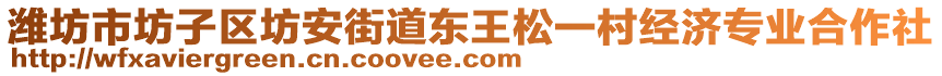 濰坊市坊子區(qū)坊安街道東王松一村經(jīng)濟(jì)專業(yè)合作社