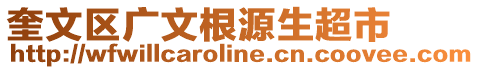 奎文區(qū)廣文根源生超市