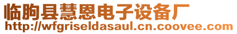 臨朐縣慧恩電子設(shè)備廠