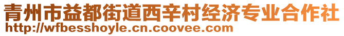 青州市益都街道西辛村經(jīng)濟專業(yè)合作社