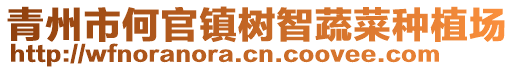 青州市何官鎮(zhèn)樹智蔬菜種植場