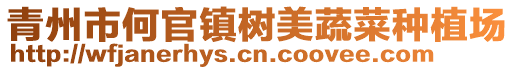 青州市何官鎮樹美蔬菜種植場