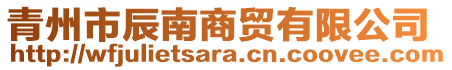 青州市辰南商貿(mào)有限公司