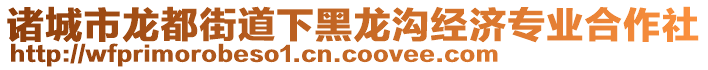 諸城市龍都街道下黑龍溝經濟專業合作社