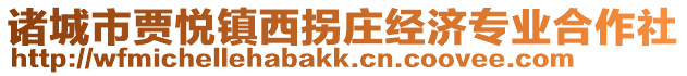 諸城市賈悅鎮西拐莊經濟專業合作社