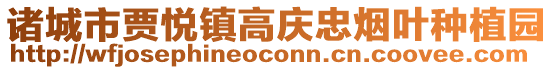 諸城市賈悅鎮高慶忠煙葉種植園