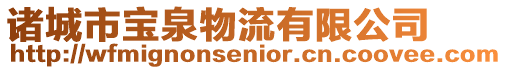諸城市寶泉物流有限公司