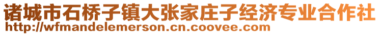 諸城市石橋子鎮大張家莊子經濟專業合作社