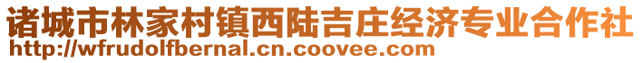 諸城市林家村鎮(zhèn)西陸吉莊經(jīng)濟(jì)專業(yè)合作社