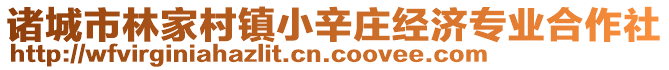 諸城市林家村鎮(zhèn)小辛莊經(jīng)濟專業(yè)合作社