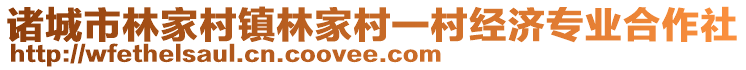 諸城市林家村鎮林家村一村經濟專業合作社