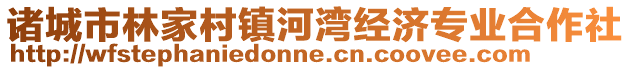 諸城市林家村鎮河灣經濟專業合作社