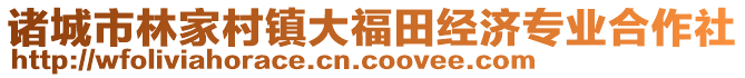 諸城市林家村鎮(zhèn)大福田經(jīng)濟(jì)專業(yè)合作社