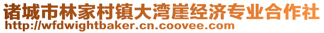 諸城市林家村鎮(zhèn)大灣崖經(jīng)濟專業(yè)合作社