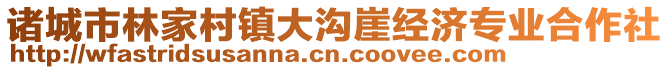 諸城市林家村鎮(zhèn)大溝崖經(jīng)濟(jì)專業(yè)合作社