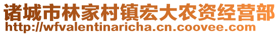 諸城市林家村鎮(zhèn)宏大農(nóng)資經(jīng)營部